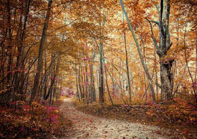 Part 1: The Start of your Journey to Cloud