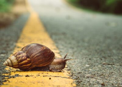 VPN, Workspace and User Experience