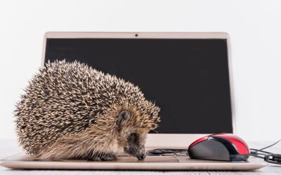 IGEL 101 – Who Knew a Hedgehog Could Make IT Easier?