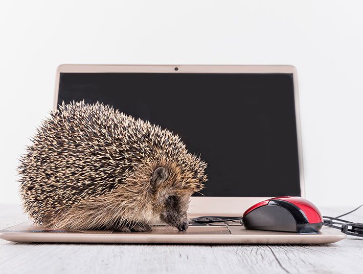 IGEL 101 – Who Knew a Hedgehog Could Make IT Easier?
