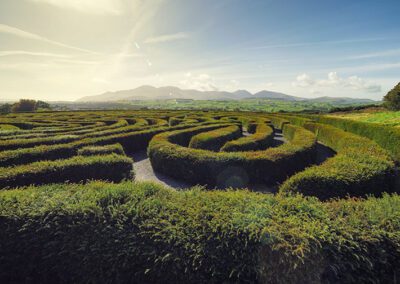 Navigating the IT Maze: A Guide for SMB Owners on Business Acquisitions