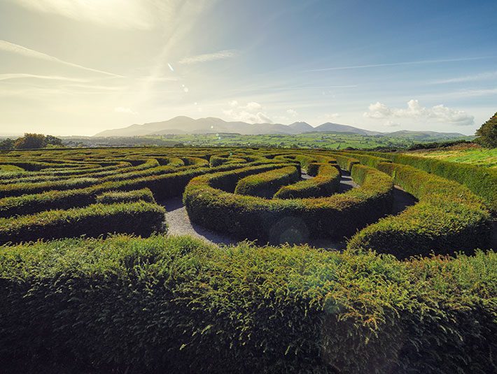 Navigating the IT Maze: A Guide for SMB Owners on Business Acquisitions